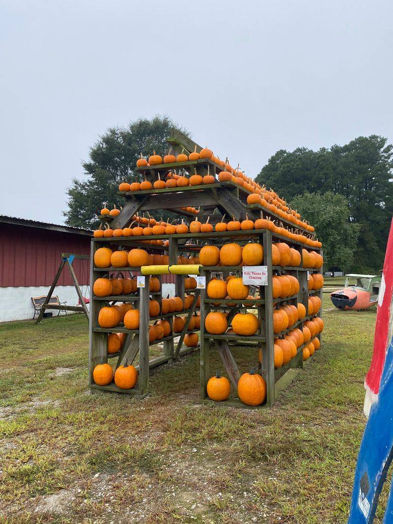 Vollmer Farm - Farm Market & Cafe'