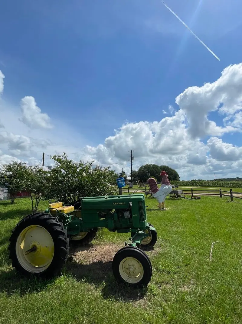 Family Farms: Produce and Pumpkin Time in Plantersville