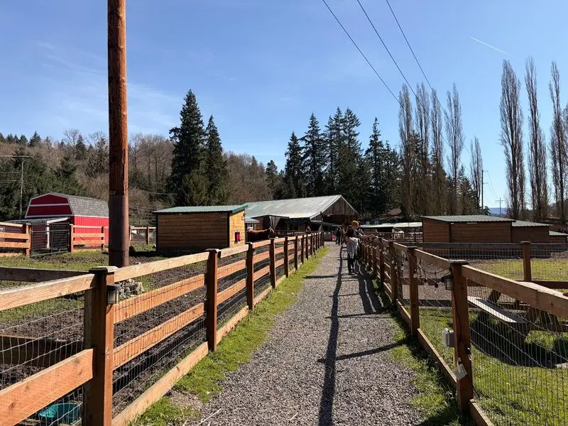 A Free Farm Sanctuary Hiding Just Outside The City Bustle