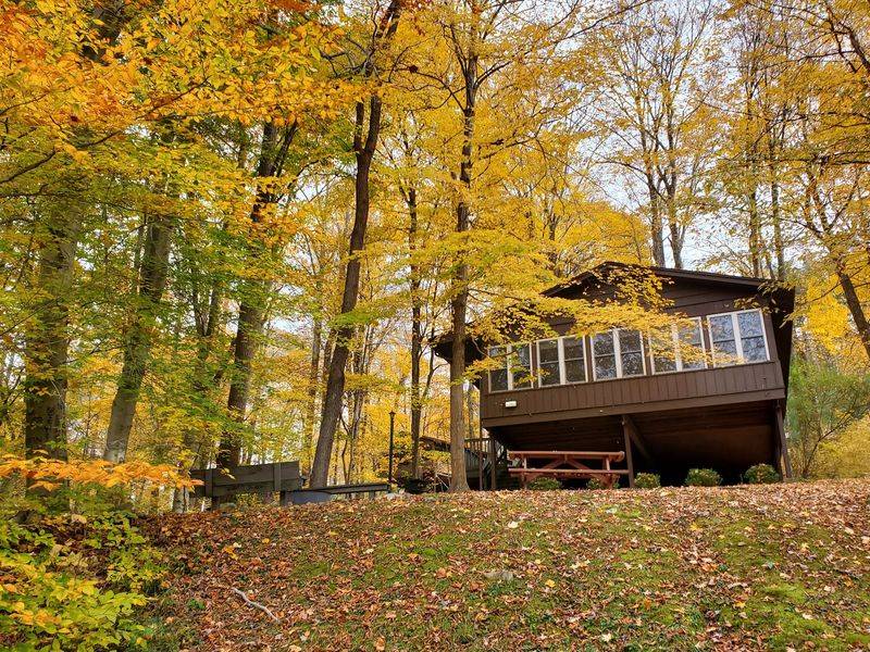 Salt Fork State Park: A Full Day of Fall Views