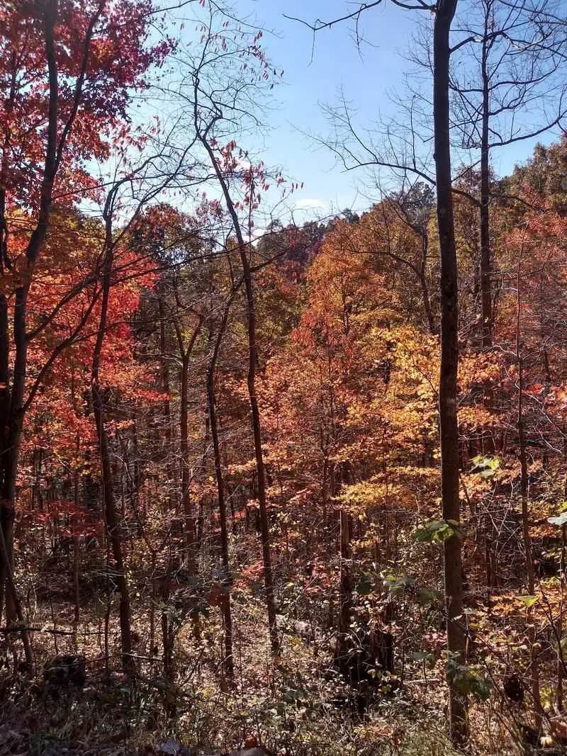 Shawnee State Forest Headquarters, West Portsmouth, OH
