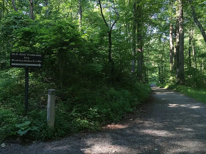Weakley Hollow Had Its Own Village, Stores, and Churches
