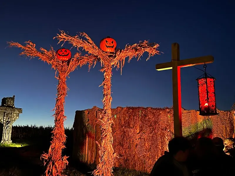 Fear Forest
