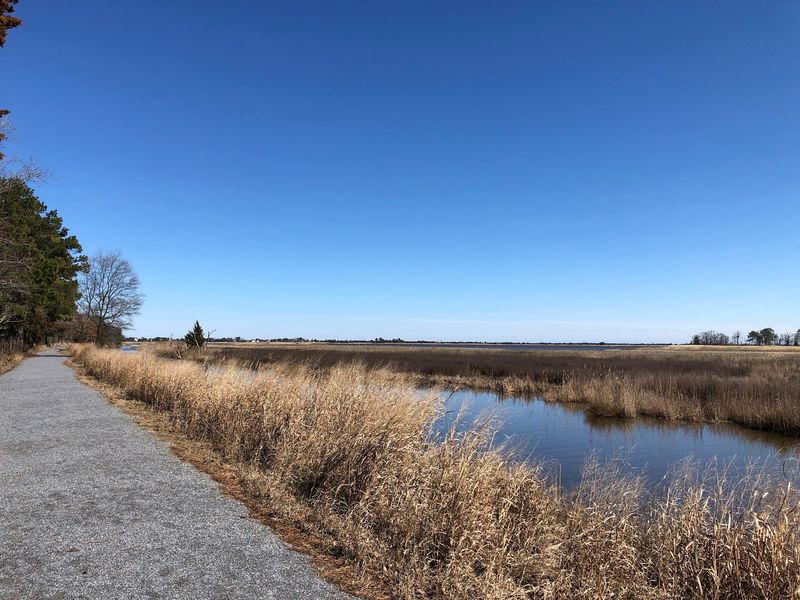 Pair The Boardwalk With Another Refuge Trail