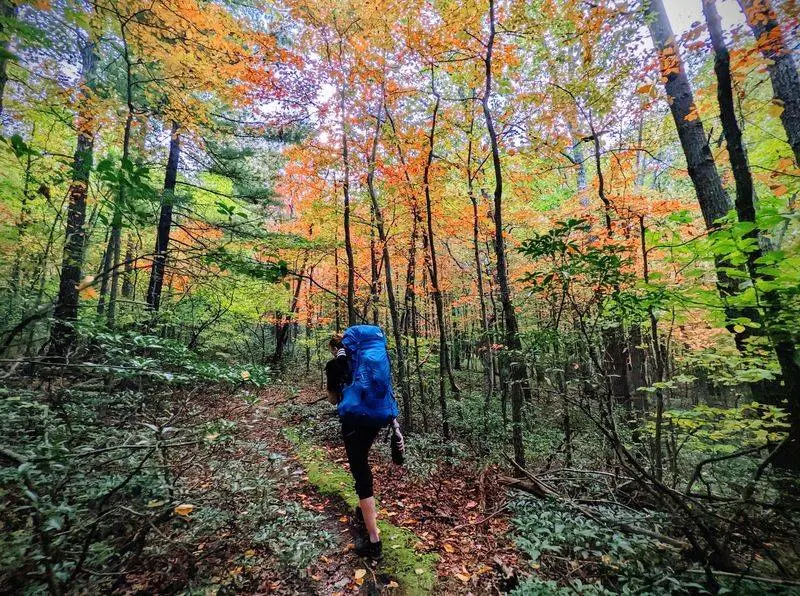 Earn a Rocky View on Pole Steeple Trail