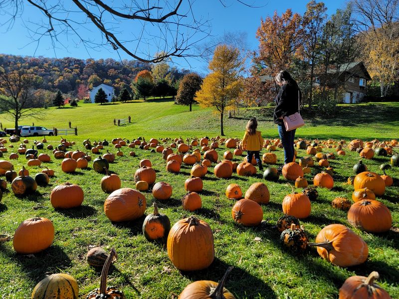 Ferguson's Orchards