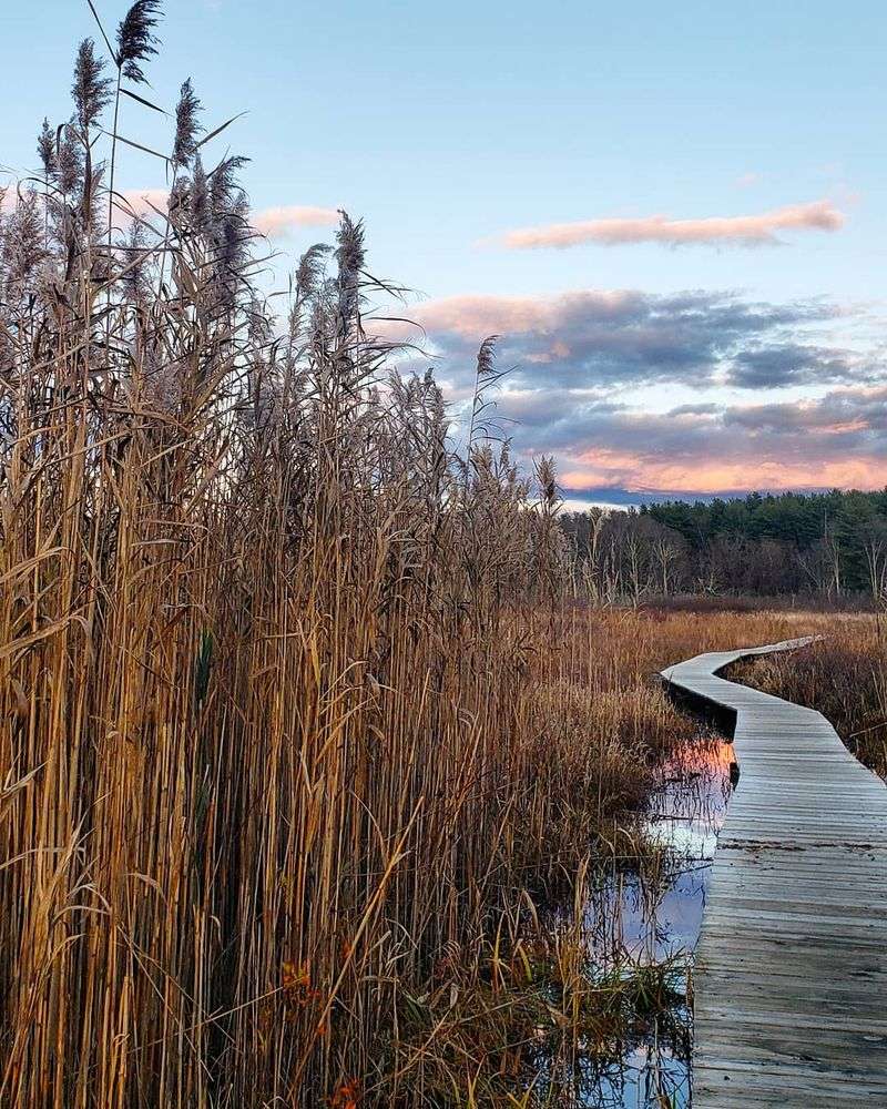 Follow the Boardwalk Into the Marsh
