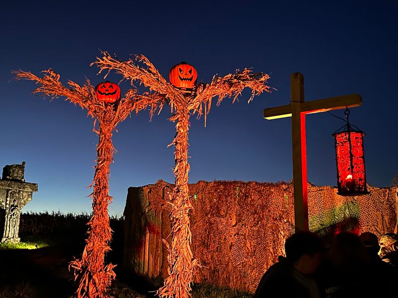 Fear Forest
