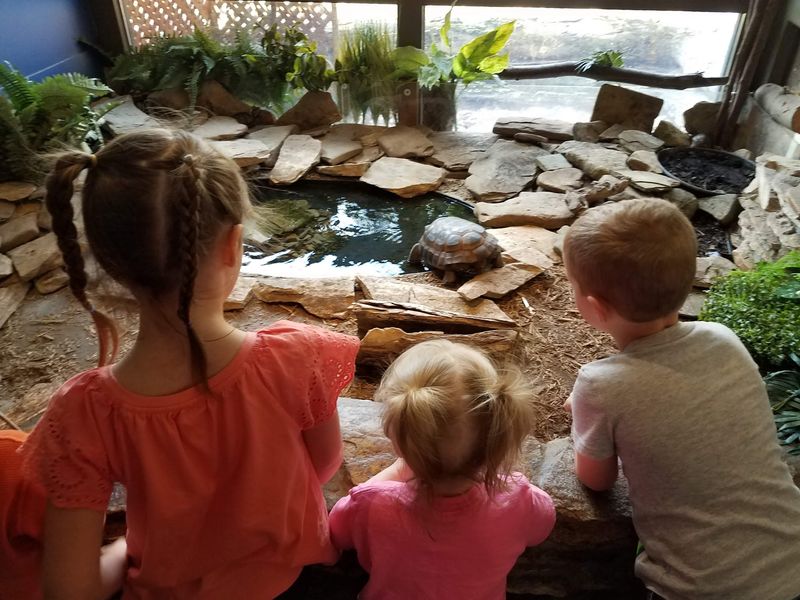 Lake Erie Nature & Science Center