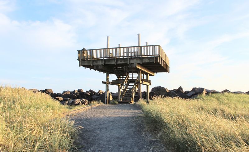 Climb The Jetty Platform To Watch A River Meet The Ocean