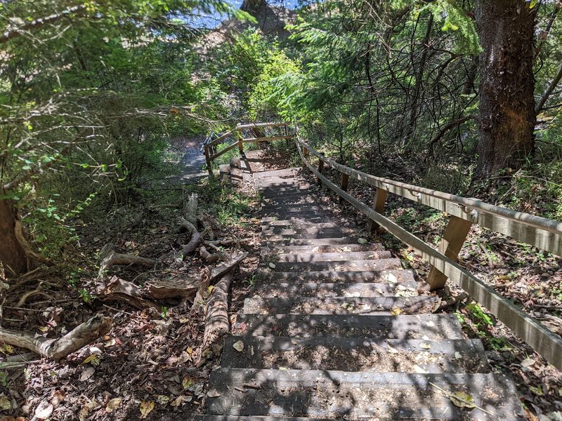 Trails Short Enough For Tiny Hikers