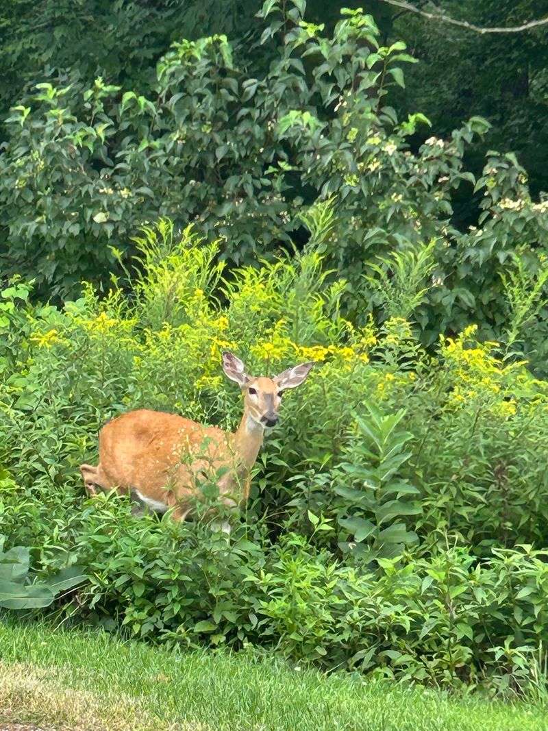 Plan Around The Seasons And The Wildlife Will Do The Rest