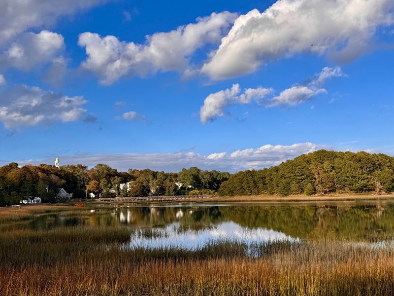 Duck Creek Views Make Every Bite Taste Better