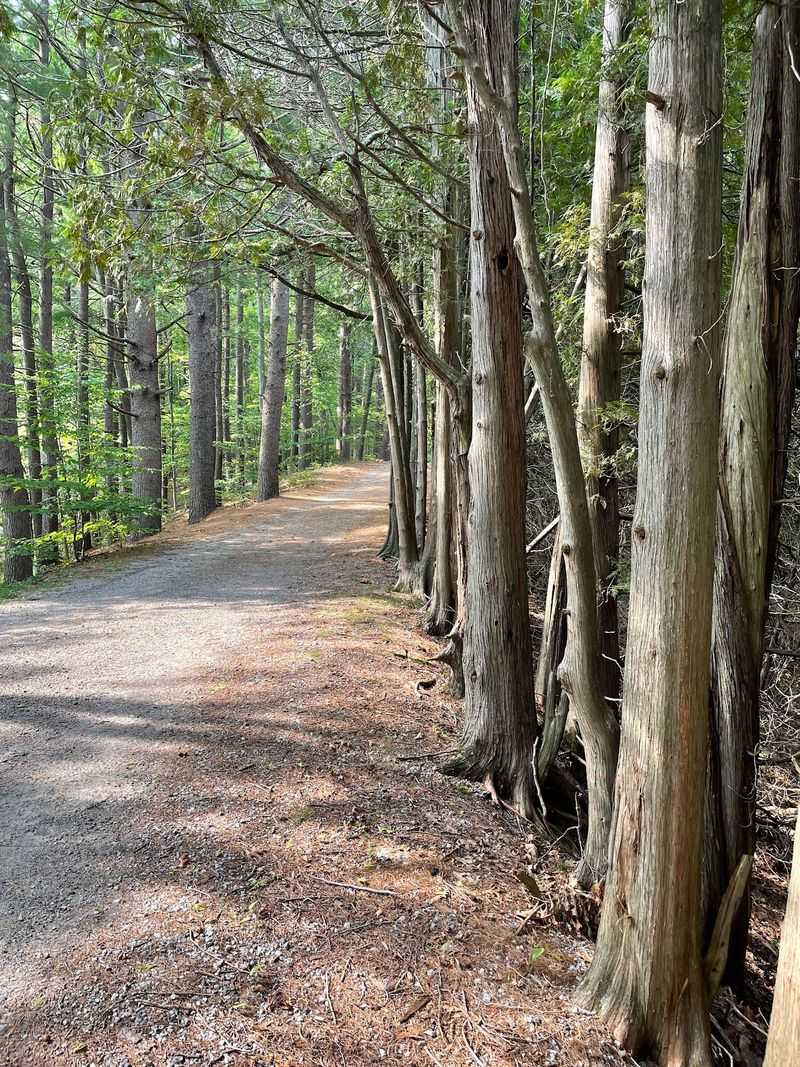 Lace Up Your Shoes For Trails, Fishing, And Snowshoe Days