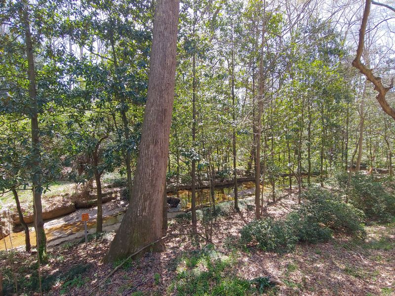 Scientists Treat This Place Like An Outdoor Laboratory