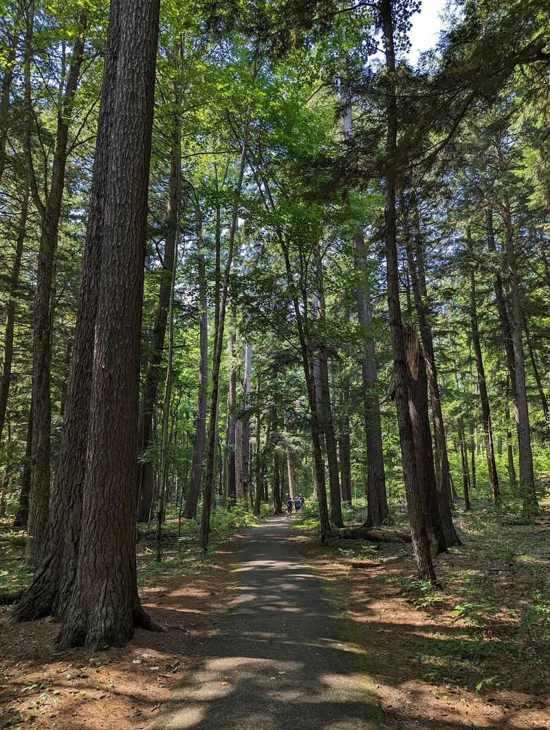 Miles of Trails Wait Beyond the Famous Loop