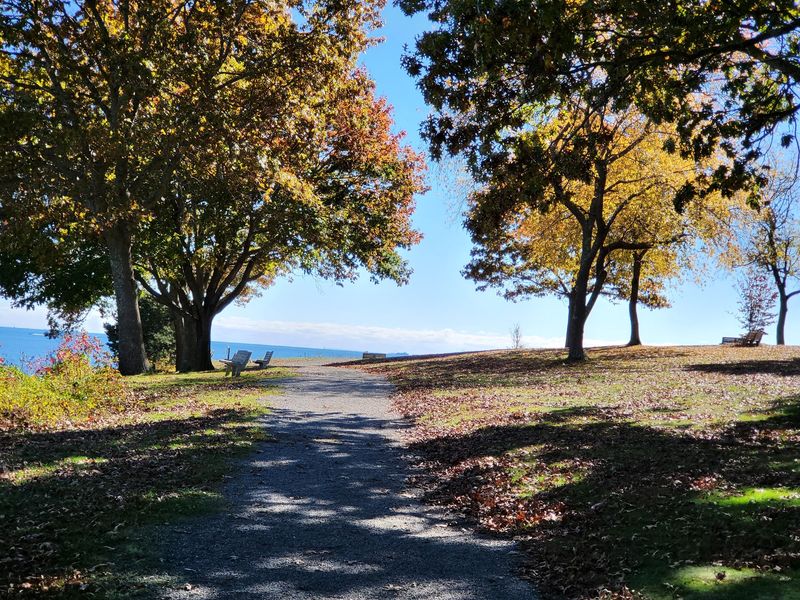 Fall Might Be The Smartest Time To Show Up