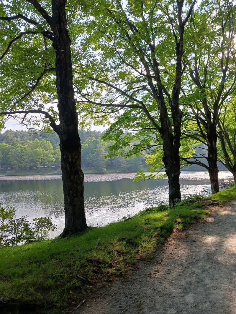 Walk the Easy Bass Lake Loop