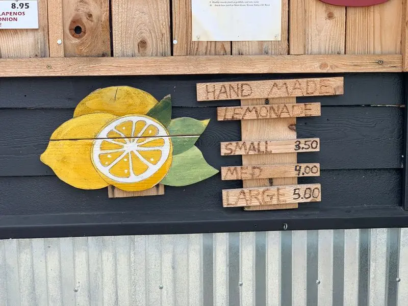 Fresh Lemonade And Root Beer For The Non-Shake Crowd