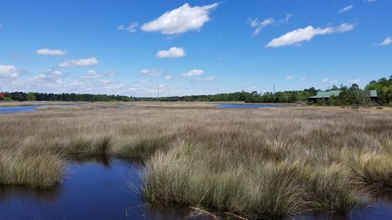 The Route Rolls Through Town Toward Marsh Views