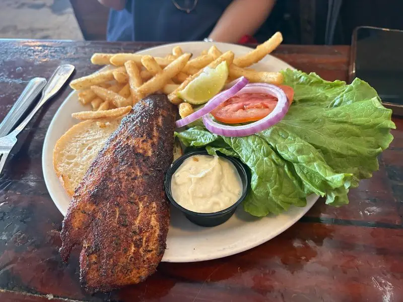 Snapper Gives the Fritters a Worthy Follow-Up