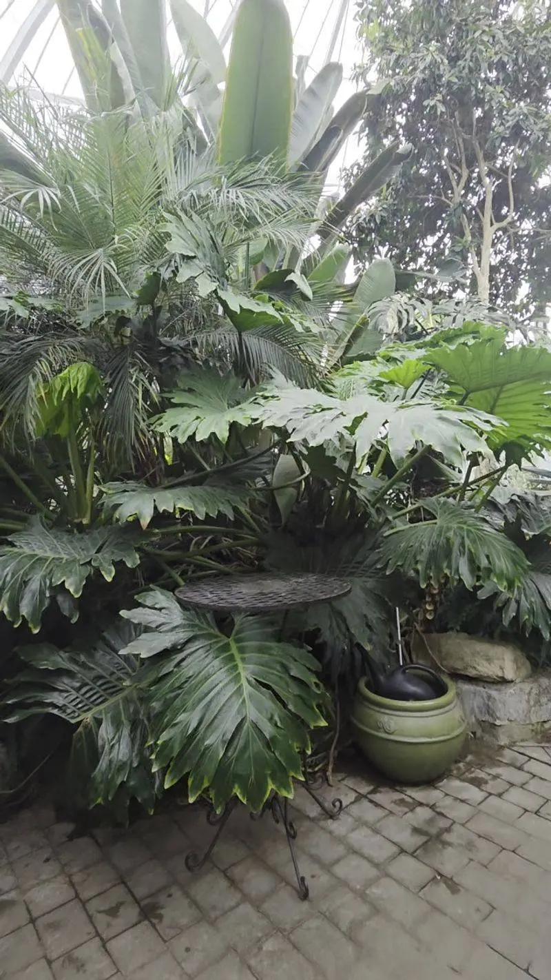 A Cute Gift Shop That Even Sells Live Plants