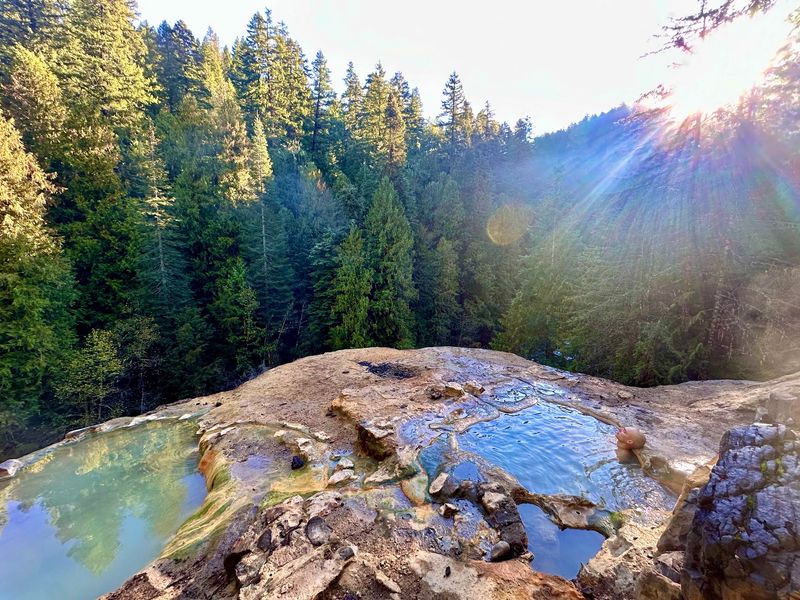 A Forest Hot Spring That Feels Like It Belongs Somewhere Far Colder