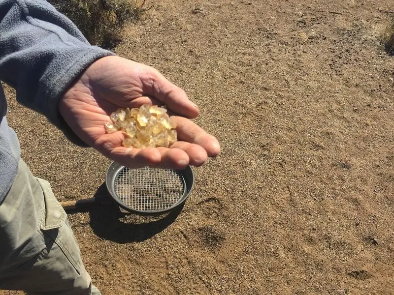 Free Gems On A Lonely Patch Of Public Land