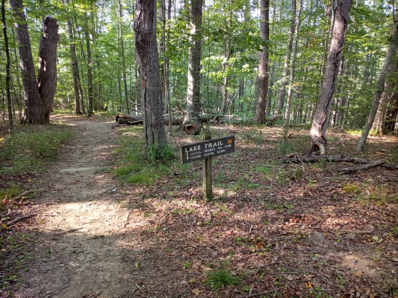 Woodland Trails With a Wilder Side