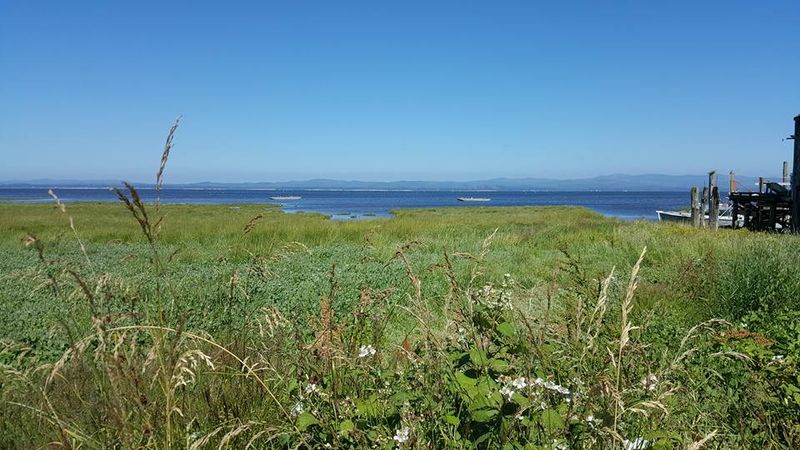 Bay Views, Birds, And Big Skies Along The Shore