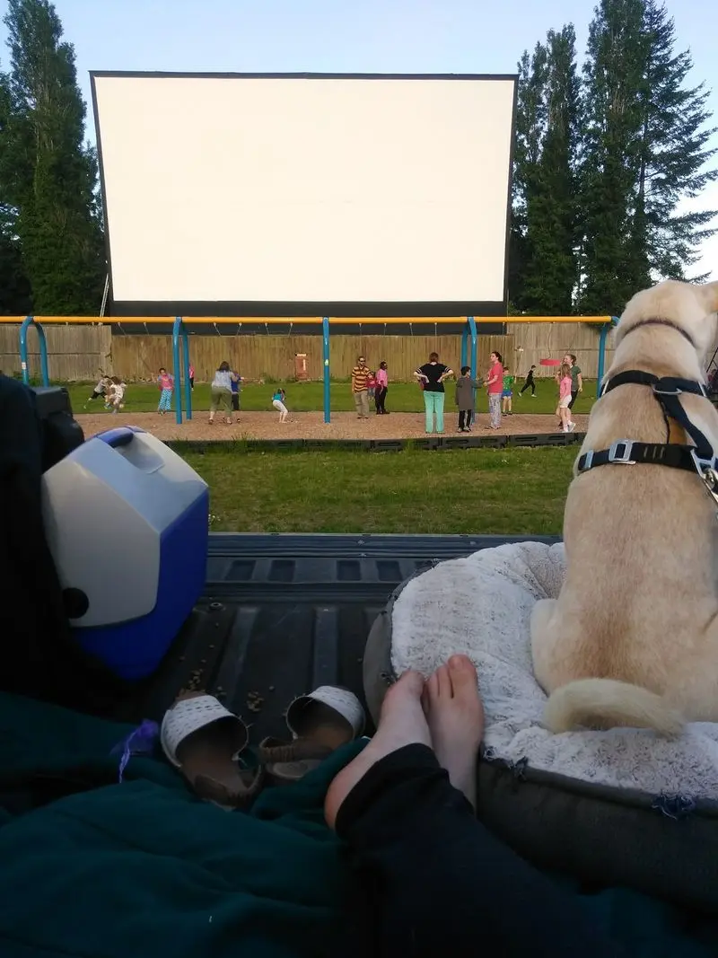 The Family Dog Gets A Movie Night Too