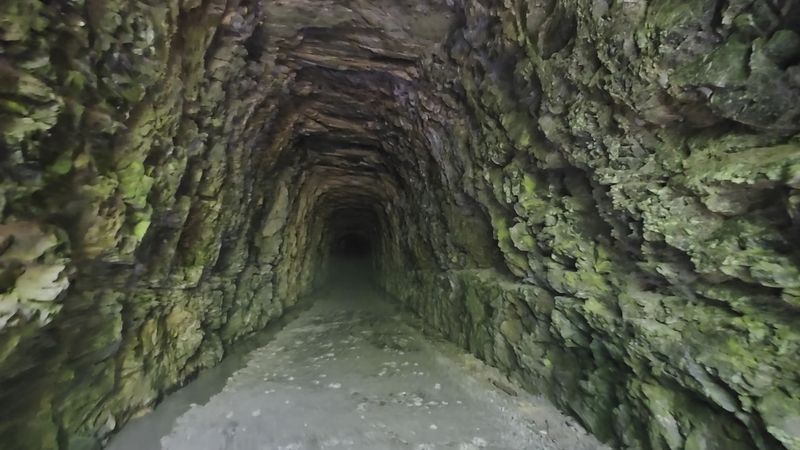 Blue Cheese Gave The Tunnel A Surprisingly Tasty Chapter