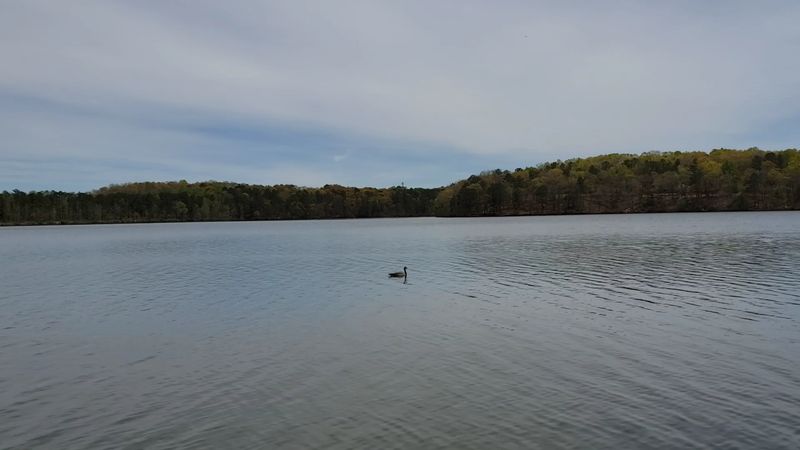 Binoculars, Geocaches, And Rangers Add Bonus Fun