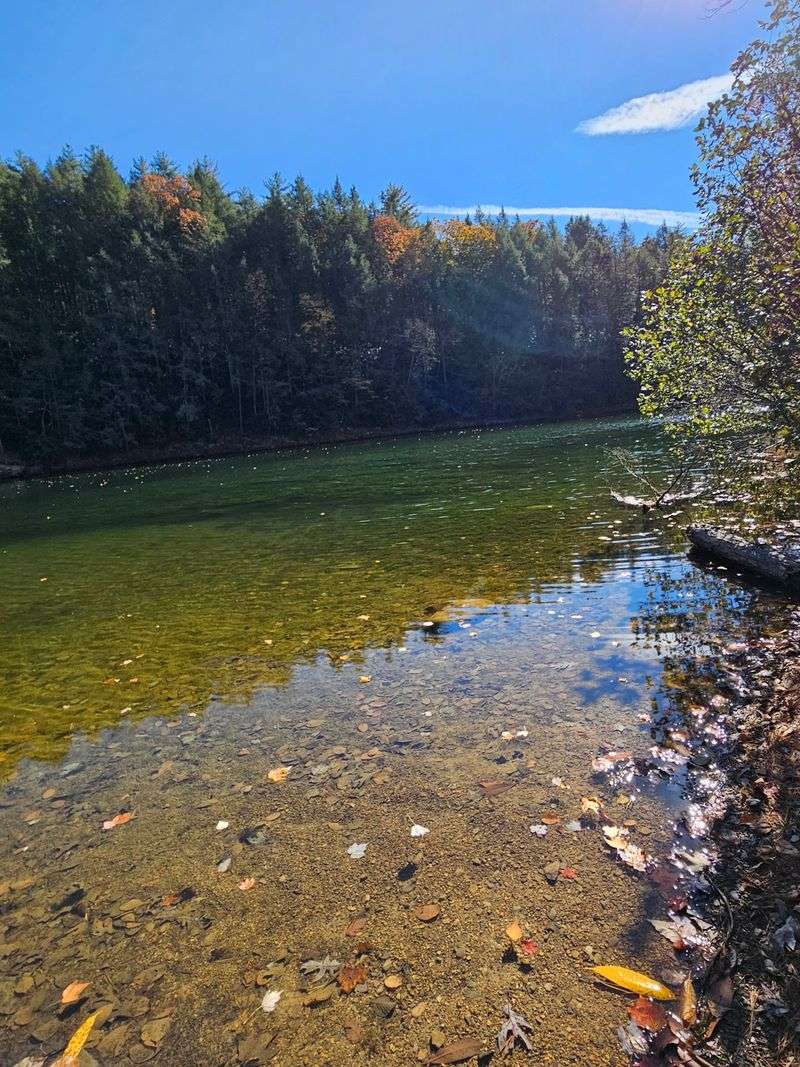 Watch for Wildlife and Enjoy the Changing Seasons