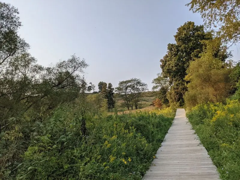 Bird Watchers And Wildflower Fans Get Plenty To Love