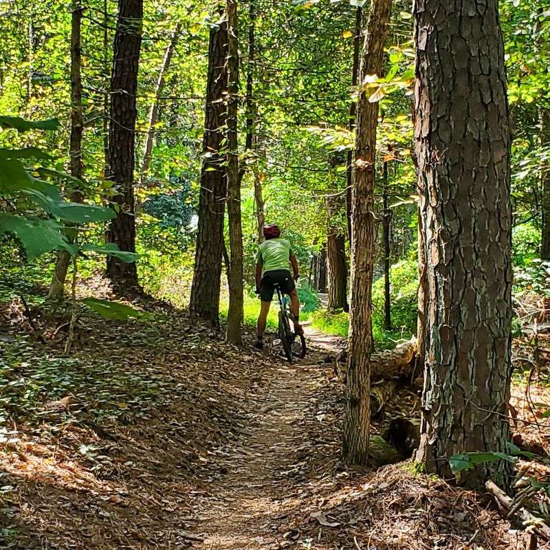 Bike Trails Add a Little More Speed