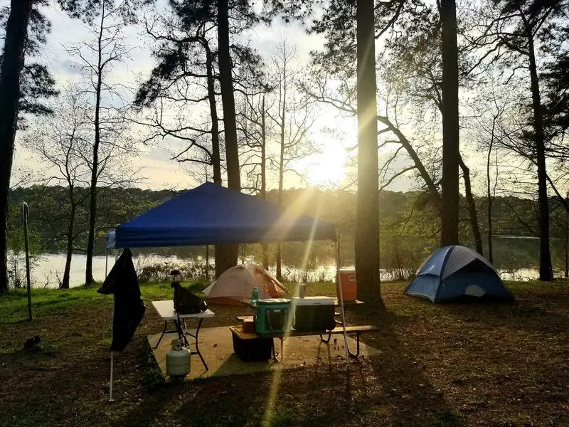 Follow the Water Into the Woods at Huntsville State Park