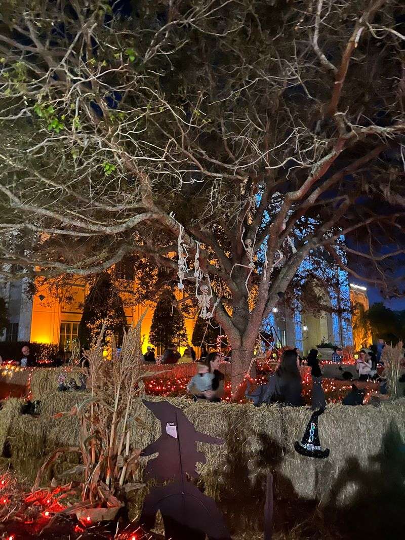 Winter Garden