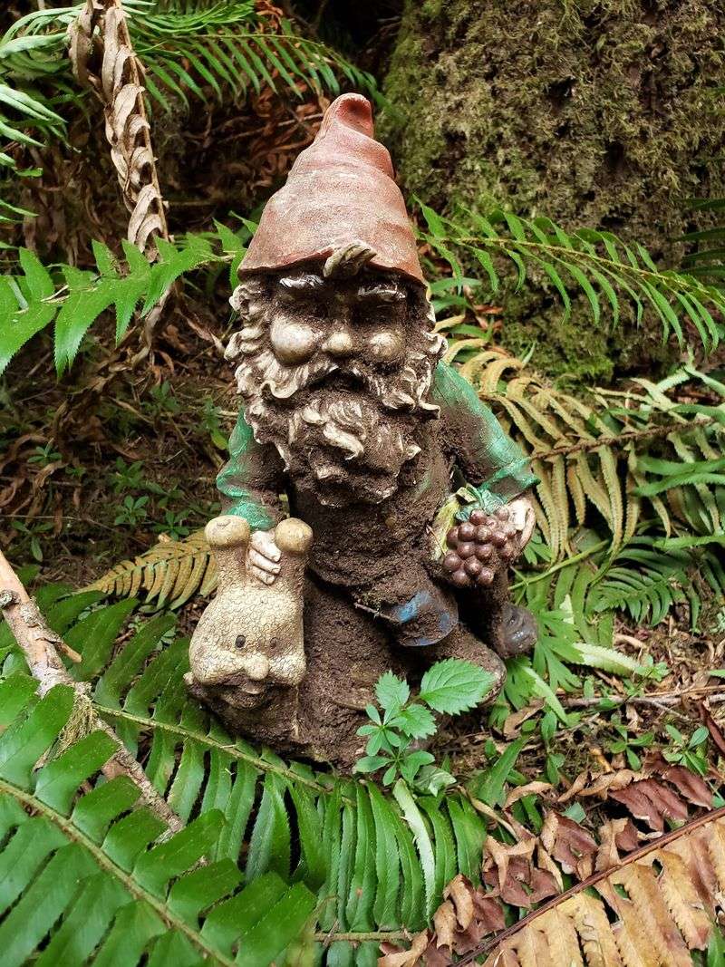 Why This Tiny Trail Earns A Spot On Your Weekend List