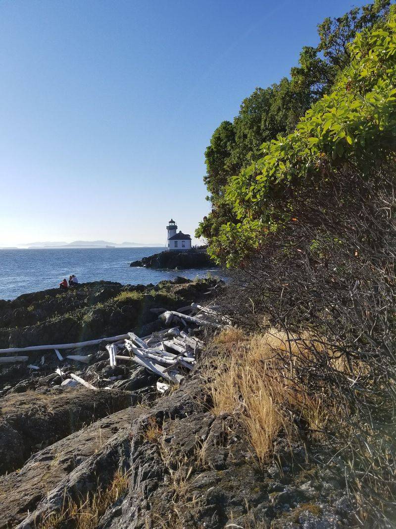 Why This Shoreline Earns A Spot On Every Family Itinerary