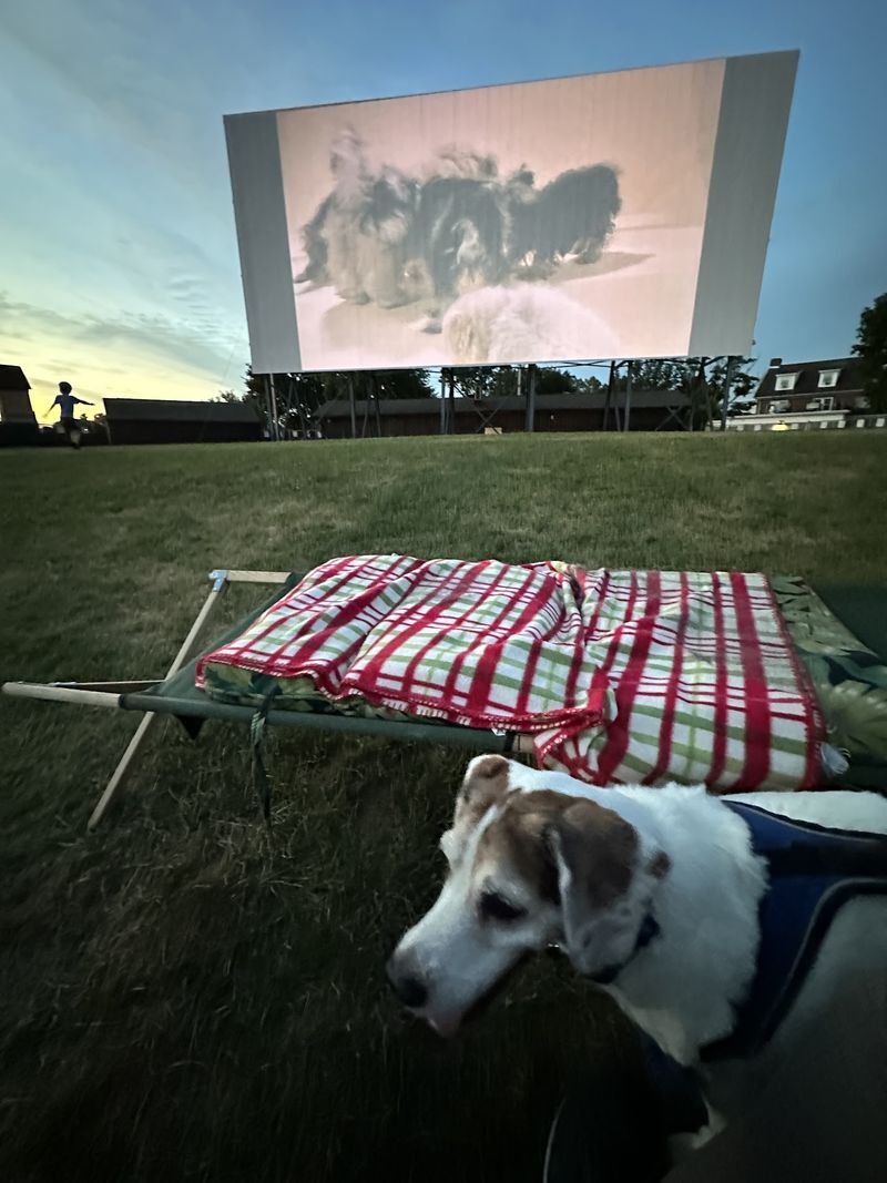 Cooler Nights Bring a Cozier Kind of Moviegoing