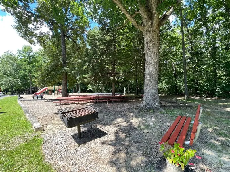 The Picnic Spot At The Bottom Of The Hill