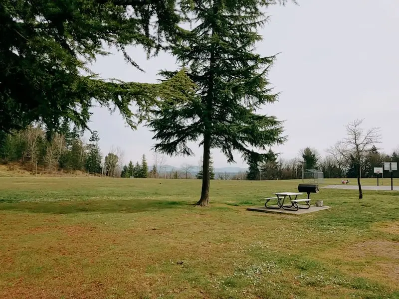 Picnic Shelters, Grills, And Snack Breaks