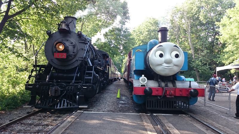 The Train Is the Surprise Worth Saving Time For