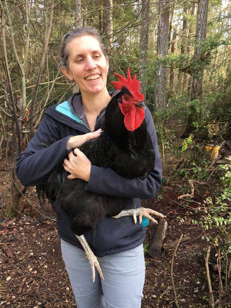 A Helping Hand That Reaches Beyond The Barn
