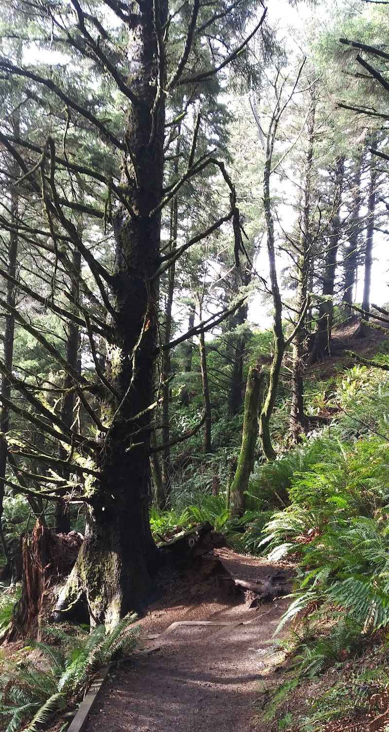 Longer Routes For Hikers Who Want The Whole Headland