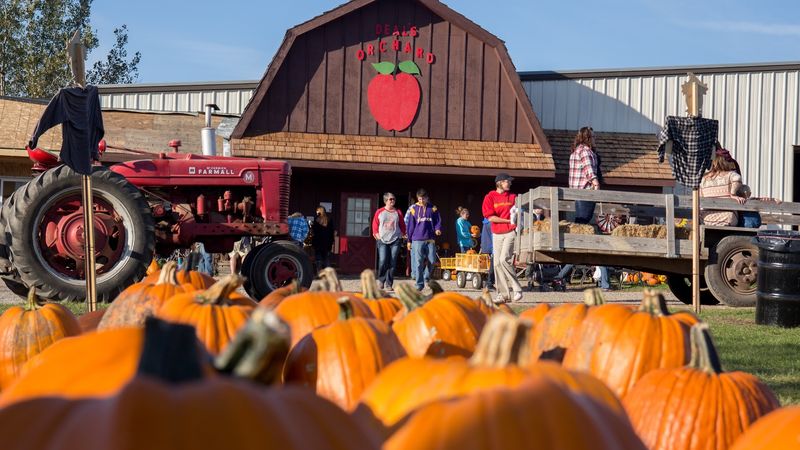 Start With a Simple Harvest Day Plan