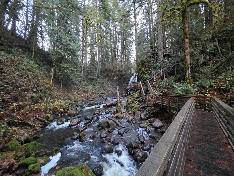 Picnic Tables, Pit Toilets, And Simple Comforts