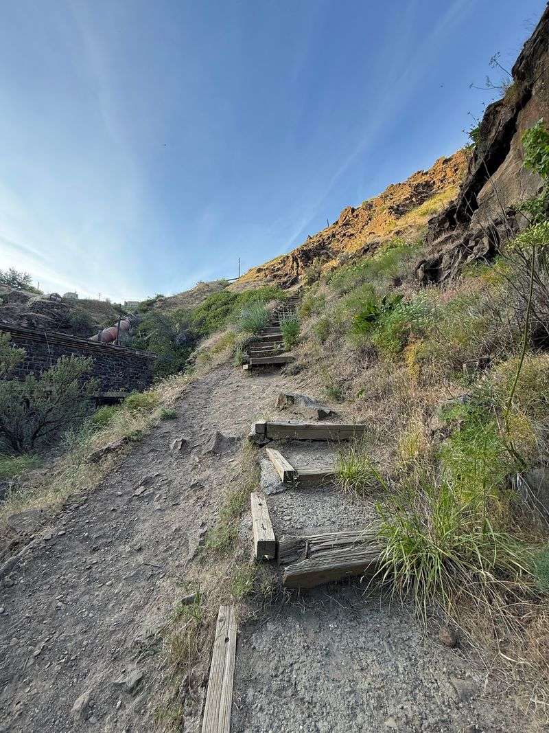 Sun, Heat, And Zero Shade On The Canyon Trail