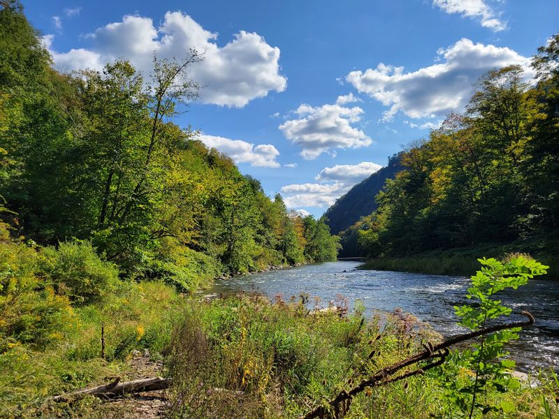 Seasons Change the Canyon's Character